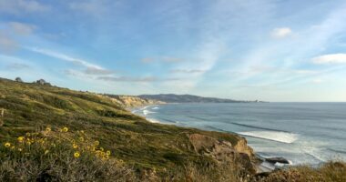 Scripps Research CEO's private plane goes missing over the Pacific Ocean