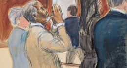 Sean 'Diddy' Combs asks for release on a $50 million bond ahead of sentencing in October