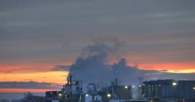 Seems Like a Good Idea - Department of Agriculture Moving Closer to Agriculture