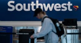 Shocking plunge by Southwest flight departing L.A. was to avoid another aircraft