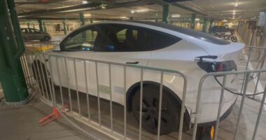 A Tesla in an Adelaide shopping centre car park has been locked up in a cage after the vehicle overstayed its welcome.