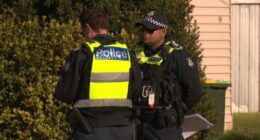 Police are investigating an alleged attempted carjacking, stabbing and aggravated carjacking.