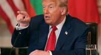 Donald Trump meets African leaders at the White House in 2025 (Win McNamee/Getty)