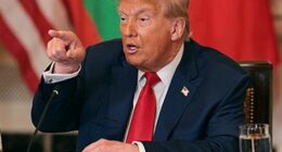 Donald Trump meets African leaders at the White House in 2025 (Win McNamee/Getty)