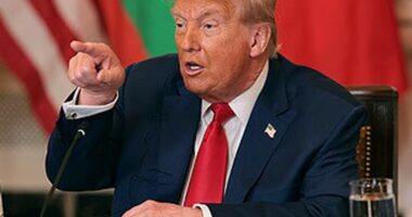 Donald Trump meets African leaders at the White House in 2025 (Win McNamee/Getty)