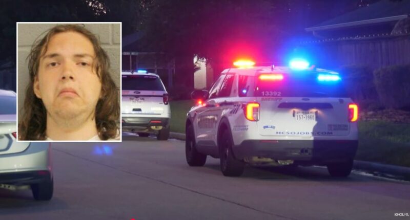 Son who beat mom with hammer charged with murder: Deputies