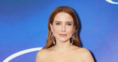 Sophia Bush Was Asked to Be on ‘RHOBH’ — But Missed the Text
