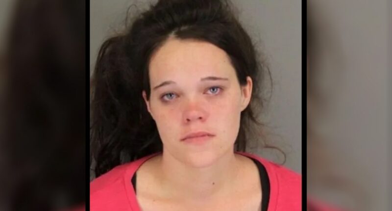 South Carolina Woman Kills Husband in Hit-and-Run After He Leaks “Revenge Porn”