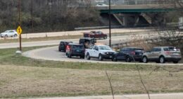 Springfield man arrested, accused of murder in connection to human remains found in 2024