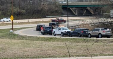 Springfield man arrested, accused of murder in connection to human remains found in 2024