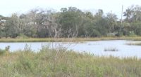 St. Augustine sues to build seawall amid flooding risk