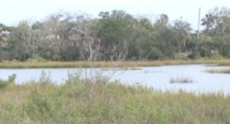 St. Augustine sues to build seawall amid flooding risk