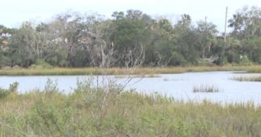 St. Augustine sues to build seawall amid flooding risk