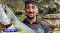 A man who died in a stabbing outside a home in Sydney's west last night has been identified as 21-year-old Luke Manassa.