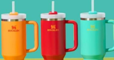 Stanley Cup Prime Day Steals: 30-Ounce for $21, 40-Ounce for $25