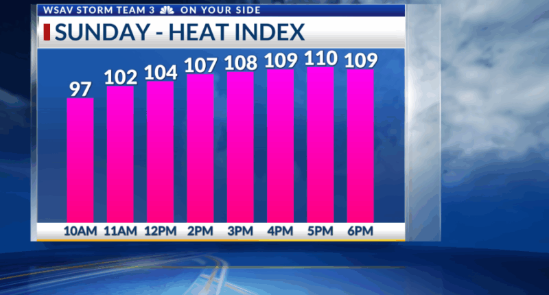 Storm Team 3: Another Very Hot Day Sunday