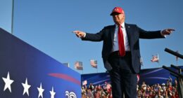 Supreme Court allows Trump to move forward with mass firings at federal agencies