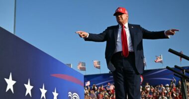 Supreme Court allows Trump to move forward with mass firings at federal agencies