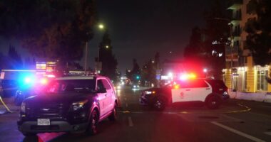 Suspect in Los Angeles car-ramming incident has a criminal history and was on parole, police say