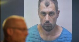 Suspect in Michigan Walmart stabbings is charged with a rarely used state terrorism count