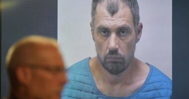 Suspect in Michigan Walmart stabbings is charged with a rarely used state terrorism count