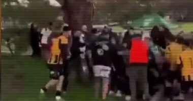 A Sydney community is calling for the end of a local soccer club because of continued brawls and abuse.Today the Banksia Tigers didn't want to answer any questions and when 9News arrived, they called the police.
