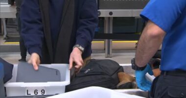 TSA may end restrictions on liquid in carry-ons at US airport security, Homeland Security Secretary Kristi Noem says