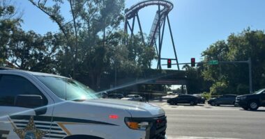 Tampa police officer shot outside Busch Gardens; suspect dead