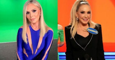 Tamra Judge Says Shannon Tried to Turn RHOC Cast Against Her, Hints at Tension Between Jennifer and Ryan