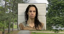 Teacher stabbed boyfriend in the neck with earring: Police
