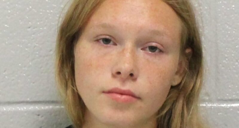 Teen Charged With Parents' Murder After Asking TikTok Influencers for Help