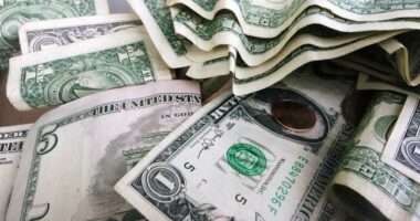 The Big Banks Really Don’t Want BRICS-Plus to Stop Using the US Dollar