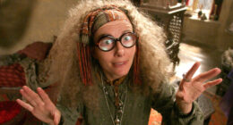 The Harry Potter Character You Likely Didn't Realize Emma Thompson Played