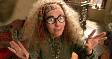 The Harry Potter Character You Likely Didn't Realize Emma Thompson Played