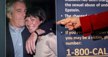 The House is looking into the Epstein investigation. Here's what could happen next