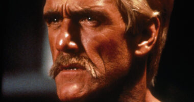 The Hulk Hogan Martial Arts Movie With A Horrible 0% Score On Rotten Tomatoes