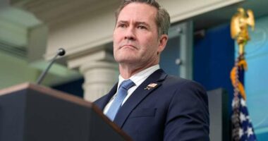 The Latest: Mike Waltz faces questions over Signal chat at Senate hearing for new UN job