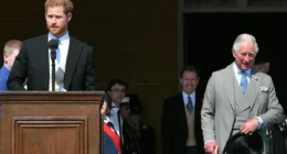 The Sign Prince Harry and King Charles' Reps ‘Don’t See Eye to Eye’ After ‘Peace Summit’ Meeting