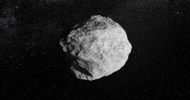 	An artist's impression depicts an asteroid orbiting the sun.