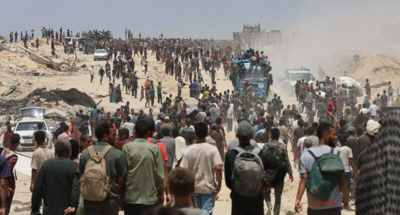 The food is just outside the border. But getting it to Gaza's starving is a chaotic process