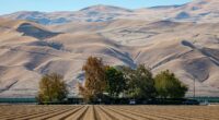The parched planet paradox: How drought and sea level rise feed on each other