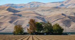 The parched planet paradox: How drought and sea level rise feed on each other