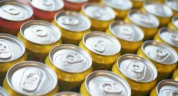 A row of soft drink cans.
