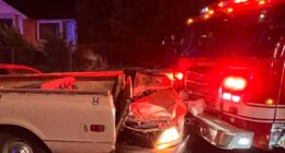 Thief who stole fire engine clipped 14 cars evades arrest in Washington state