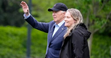 Third Biden aide pleads the Fifth in House Oversight deposition