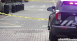 This Is 'Gavin Newsom's Lawless California'—American Idol Exec, Husband Brutally Slain by Known Psycho