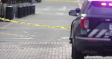 This Is 'Gavin Newsom's Lawless California'—American Idol Exec, Husband Brutally Slain by Known Psycho