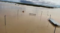 This flood-hit community needed a miracle to save its rodeo. It found one