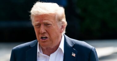 Threats against public officials persist in year after Trump assassination attempt