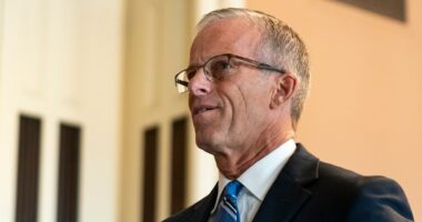 Thune hopes to pass Russia sanctions bill by August
